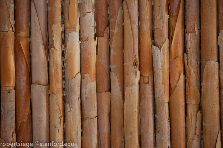 bamboo wall